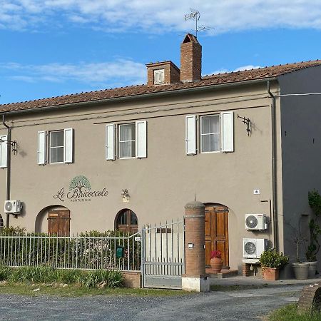 Agriturismo Le Biricoccole Vada Kültér fotó