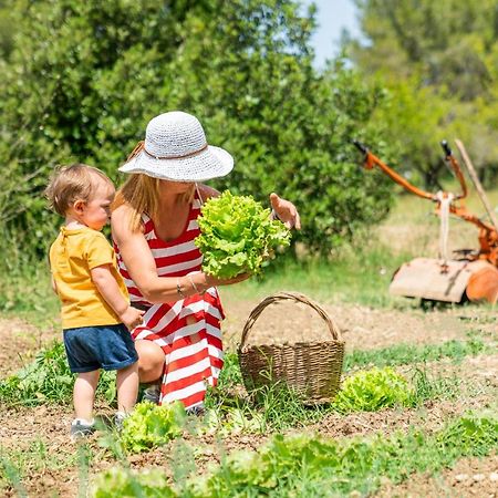 Agriturismo Le Biricoccole Vada Kültér fotó