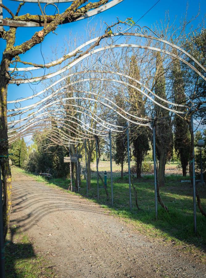 Agriturismo Le Biricoccole Vada Kültér fotó