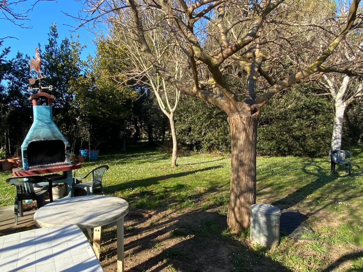 Agriturismo Le Biricoccole Vada Kültér fotó