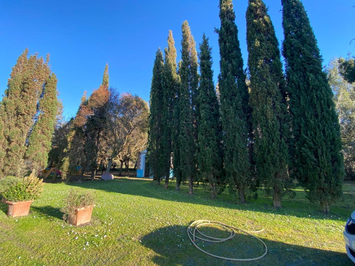Agriturismo Le Biricoccole Vada Kültér fotó