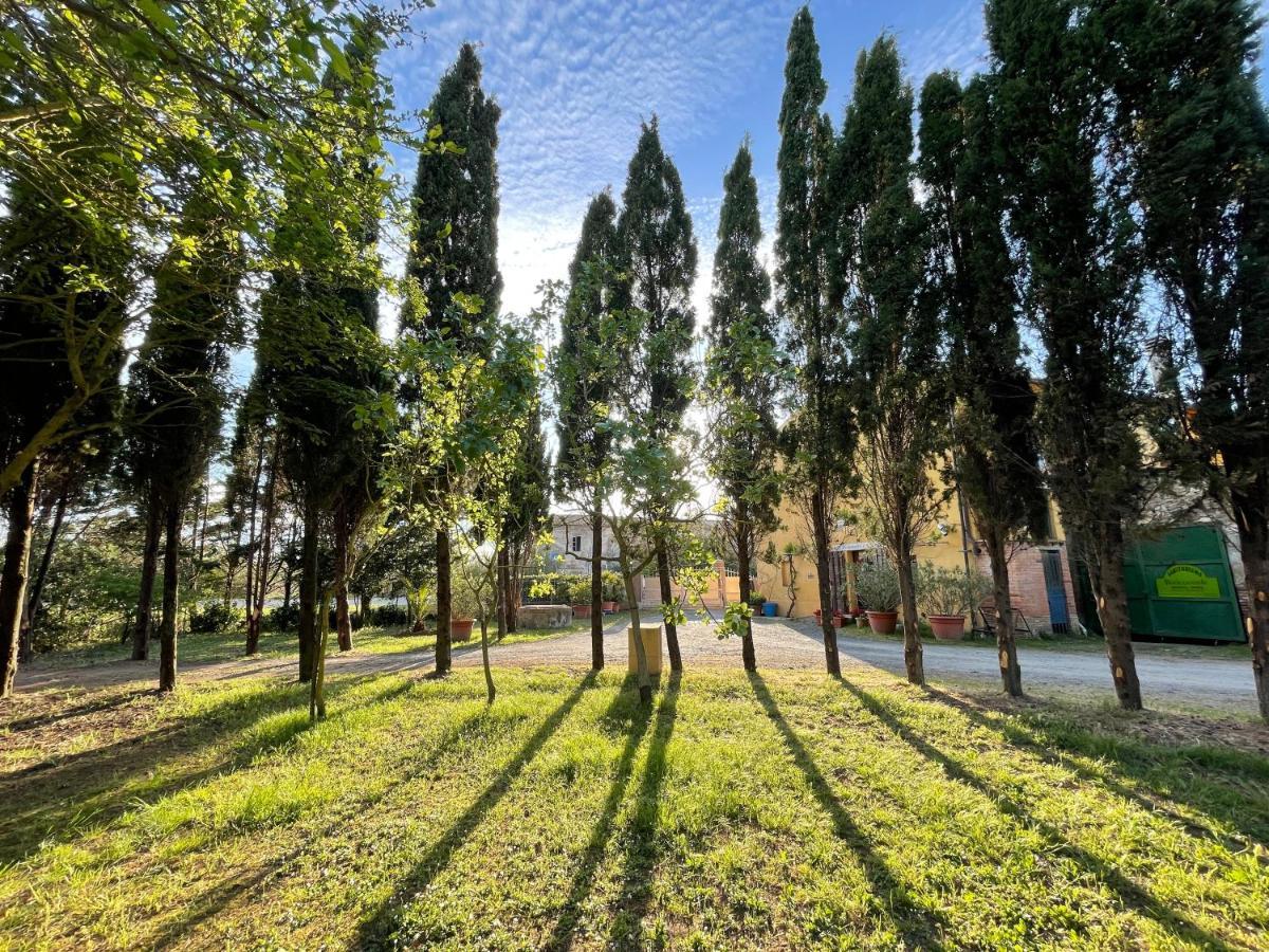 Agriturismo Le Biricoccole Vada Kültér fotó
