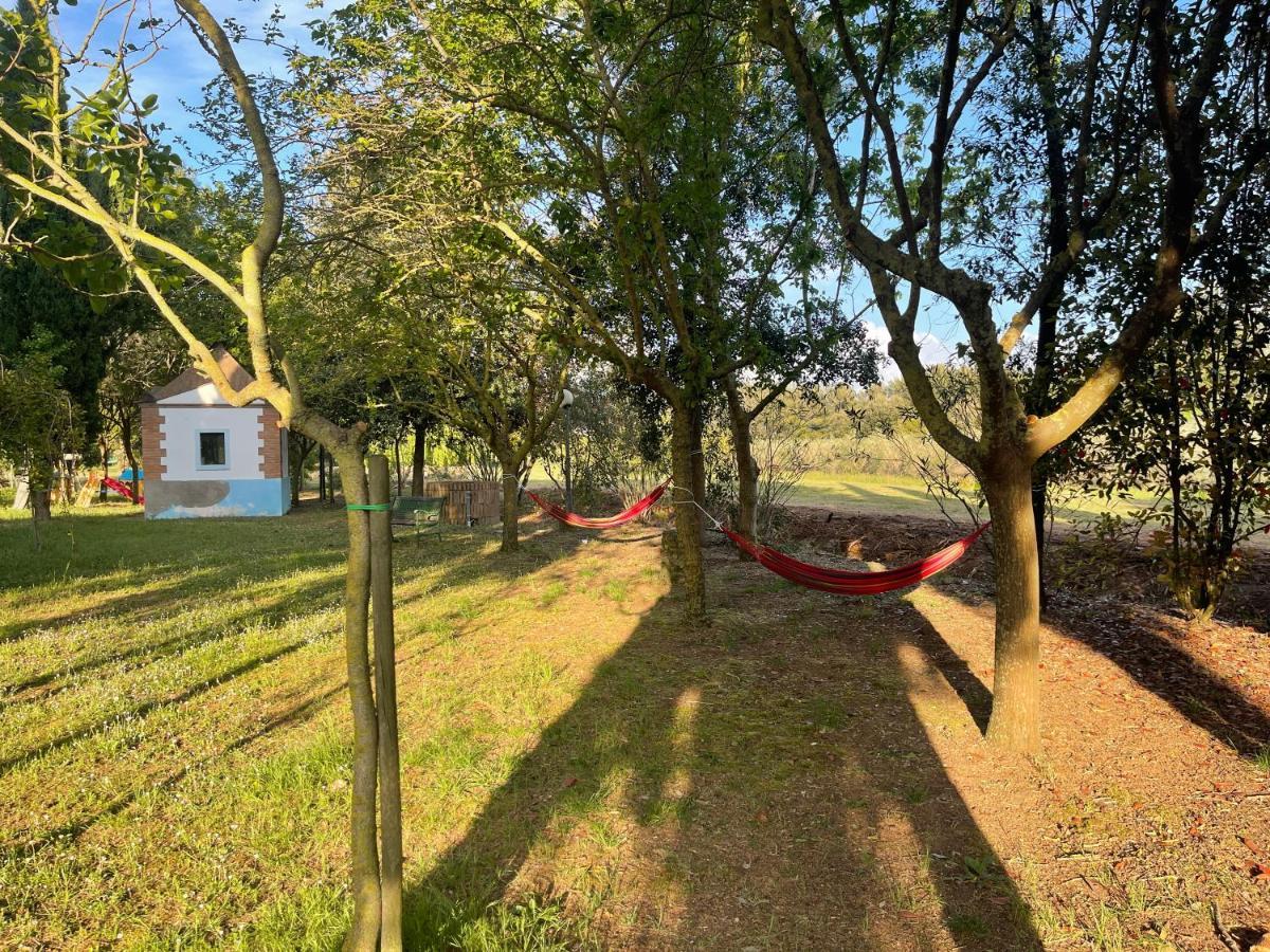 Agriturismo Le Biricoccole Vada Kültér fotó