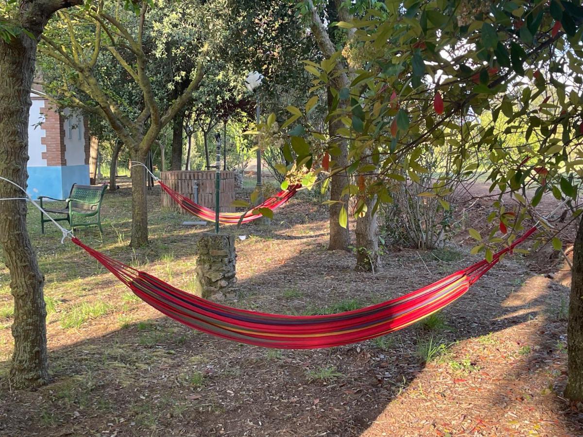 Agriturismo Le Biricoccole Vada Kültér fotó