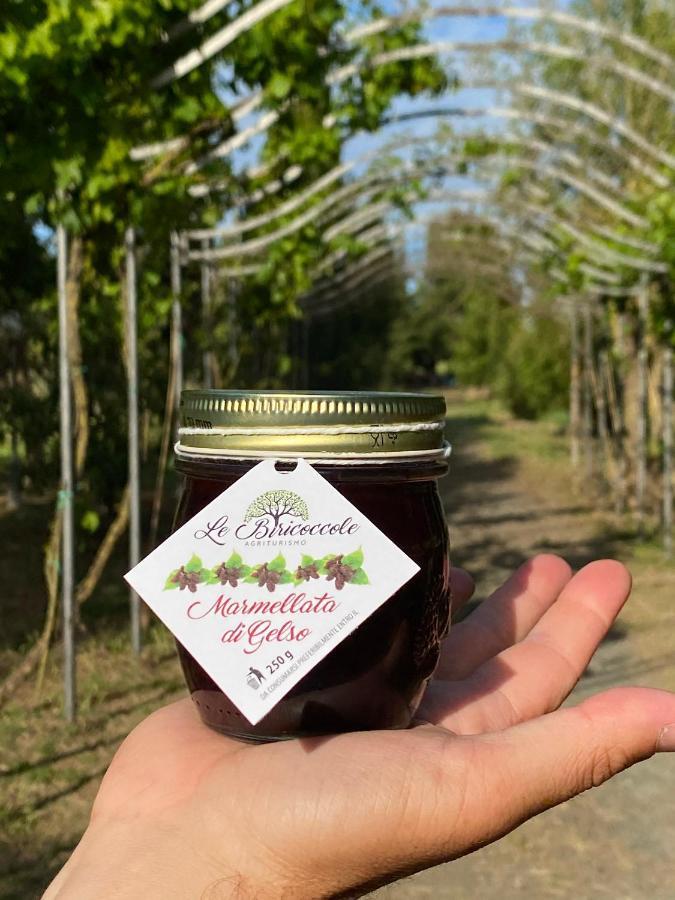 Agriturismo Le Biricoccole Vada Kültér fotó