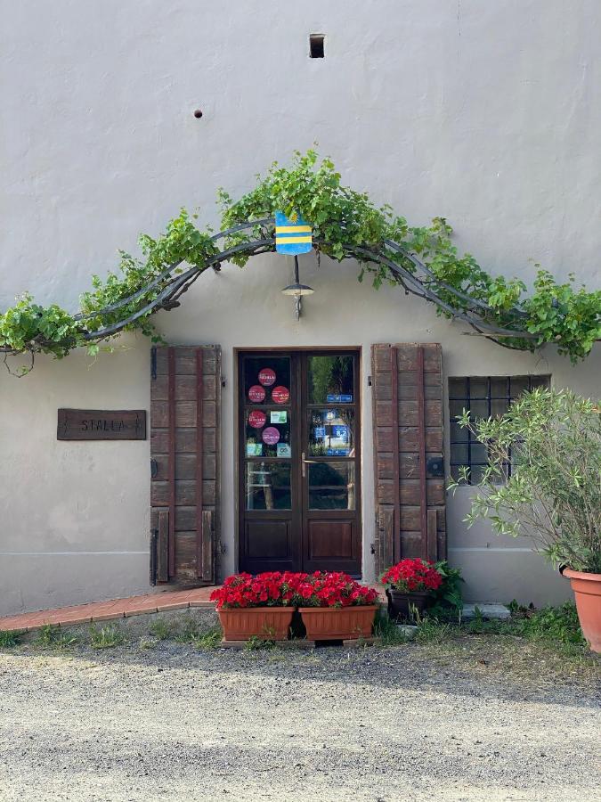 Agriturismo Le Biricoccole Vada Kültér fotó