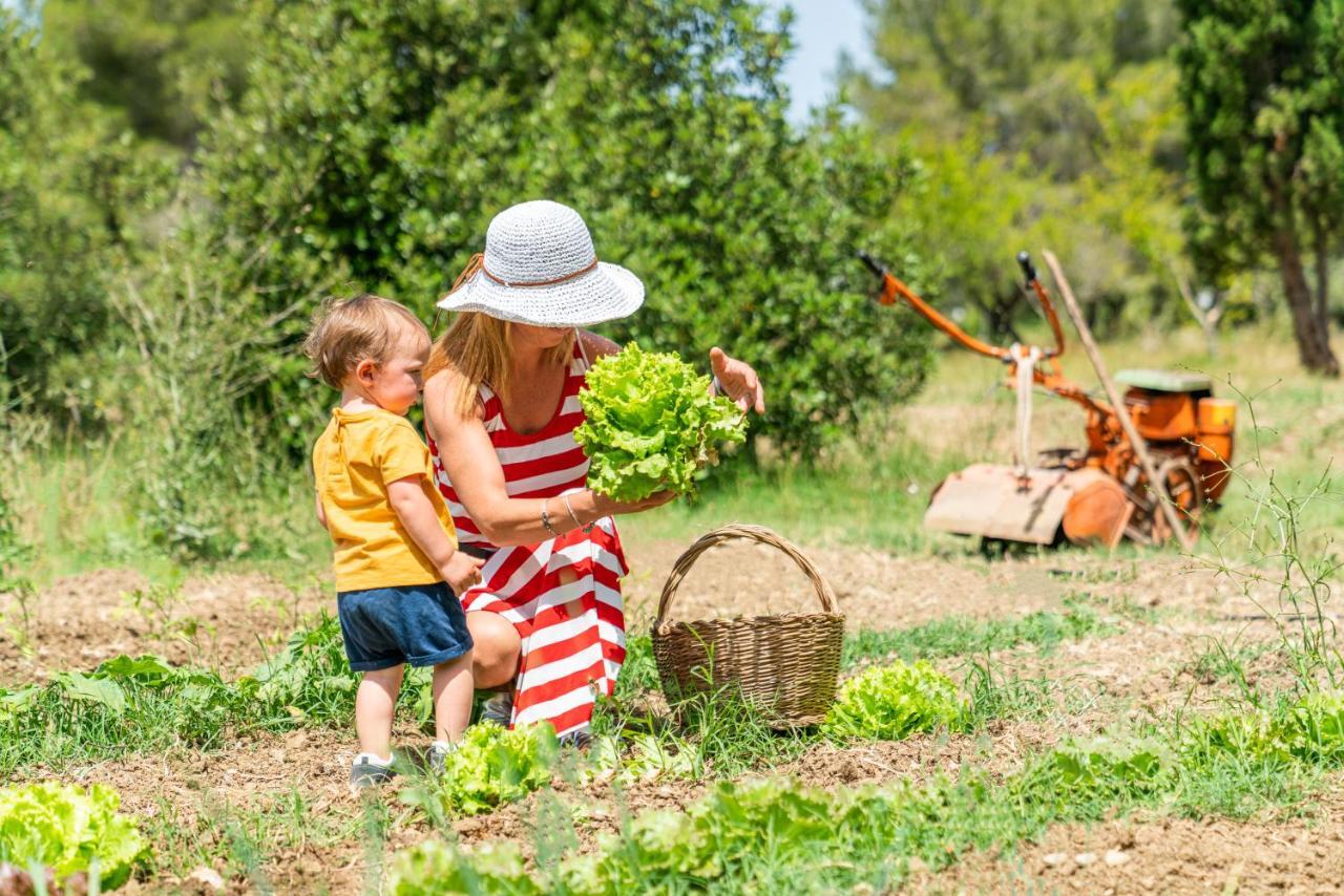 Agriturismo Le Biricoccole Vada Kültér fotó
