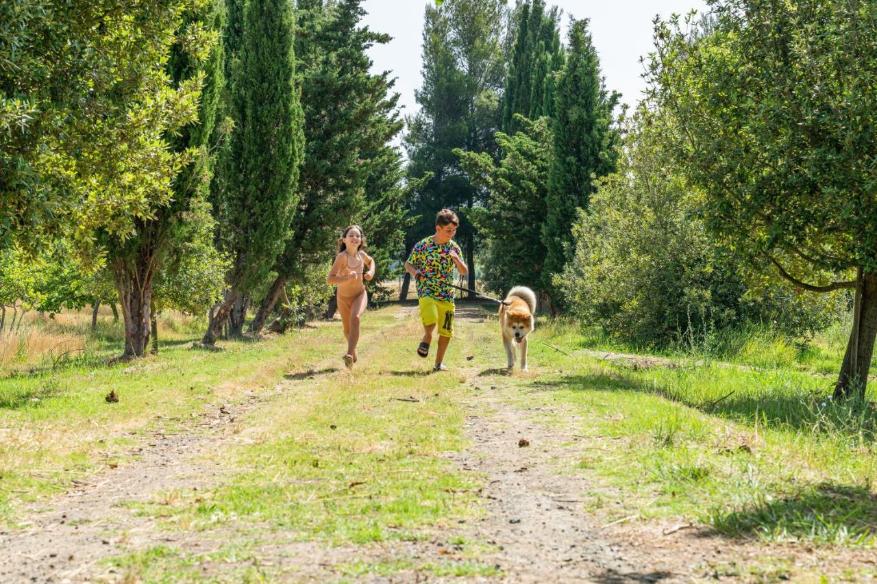Agriturismo Le Biricoccole Vada Kültér fotó