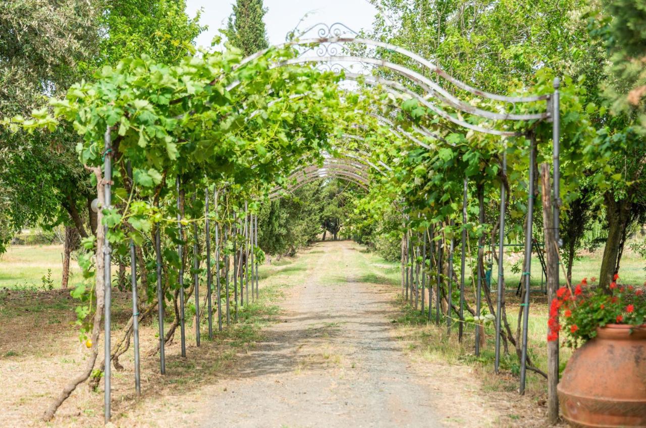 Agriturismo Le Biricoccole Vada Kültér fotó
