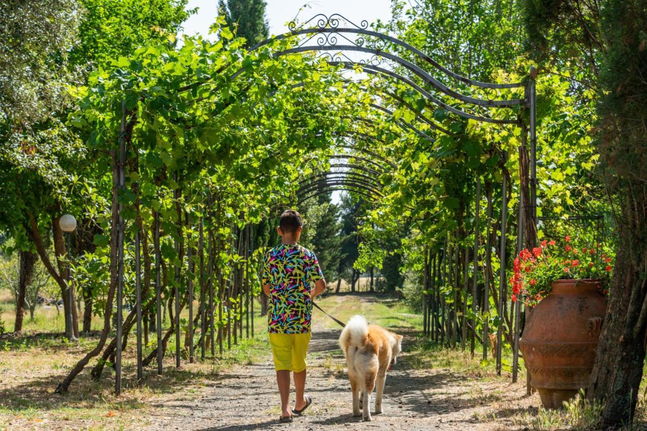 Agriturismo Le Biricoccole Vada Kültér fotó