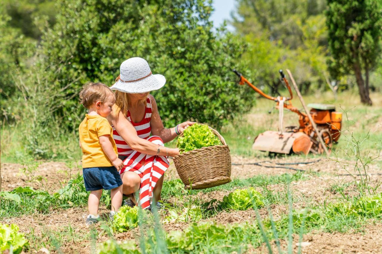 Agriturismo Le Biricoccole Vada Kültér fotó